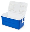 Slika Igloo Laguna 48 (45 litrov) Modra