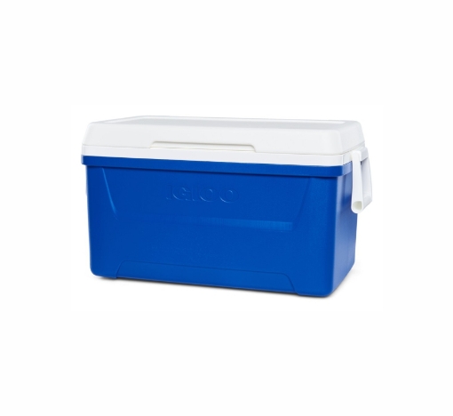 Slika Igloo Laguna 48 (45 litrov) Modra