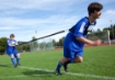 Slika Pas za hitrostni trening 